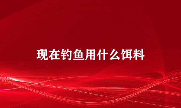 现在钓鱼用什么饵料