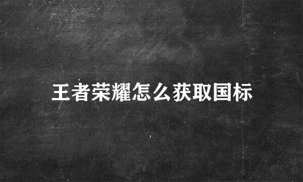 王者荣耀怎么获取国标
