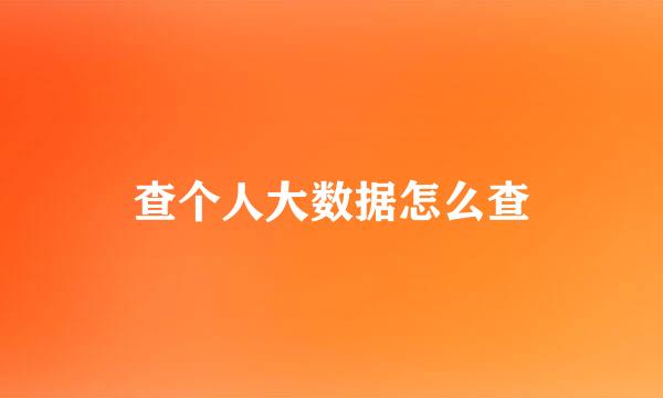查个人大数据怎么查