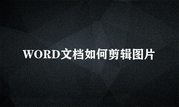 WORD文档如何剪辑图片