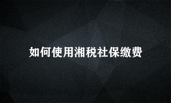 如何使用湘税社保缴费