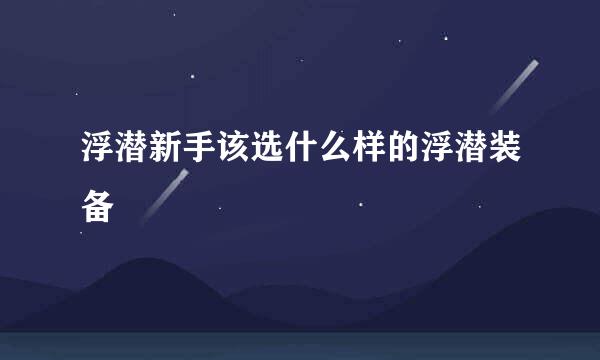 浮潜新手该选什么样的浮潜装备