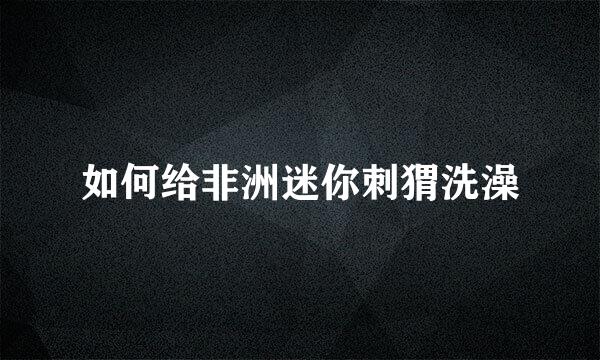 如何给非洲迷你刺猬洗澡