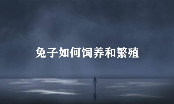 兔子如何饲养和繁殖