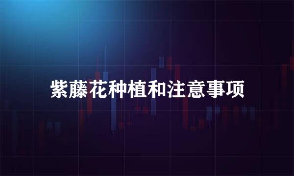 紫藤花种植和注意事项