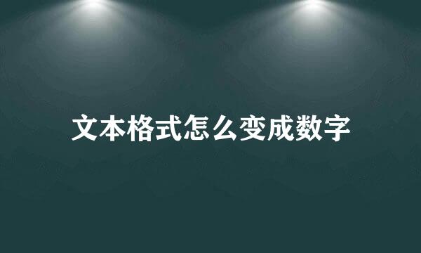 文本格式怎么变成数字