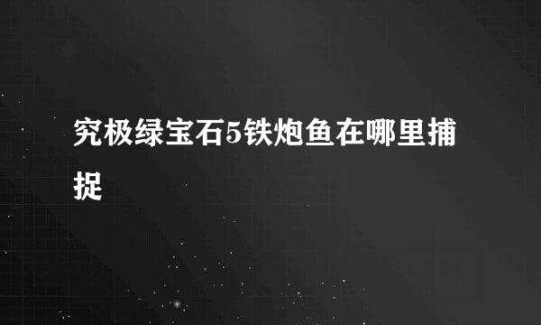 究极绿宝石5铁炮鱼在哪里捕捉