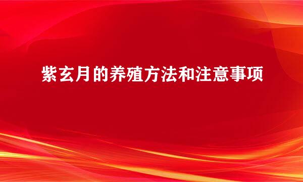 紫玄月的养殖方法和注意事项