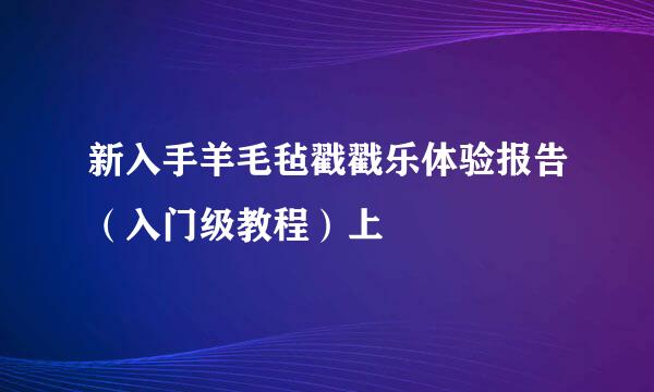 新入手羊毛毡戳戳乐体验报告（入门级教程）上