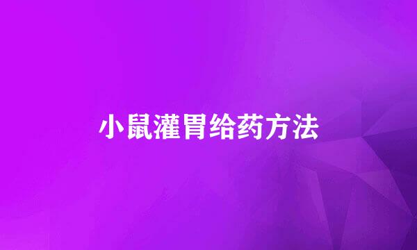 小鼠灌胃给药方法
