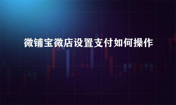 微铺宝微店设置支付如何操作
