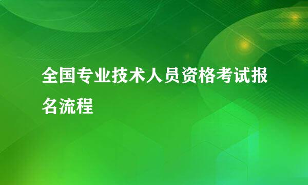 全国专业技术人员资格考试报名流程