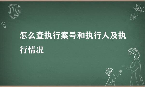 怎么查执行案号和执行人及执行情况