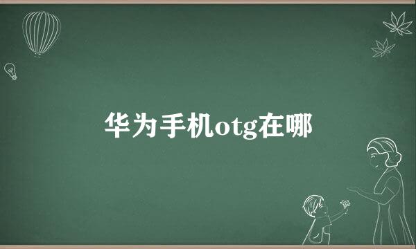 华为手机otg在哪