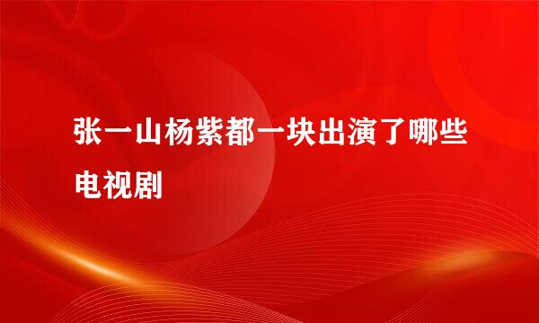 张一山杨紫都一块出演了哪些电视剧