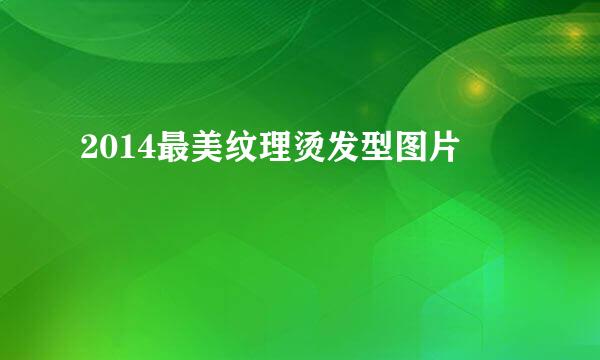 2014最美纹理烫发型图片