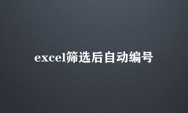 excel筛选后自动编号