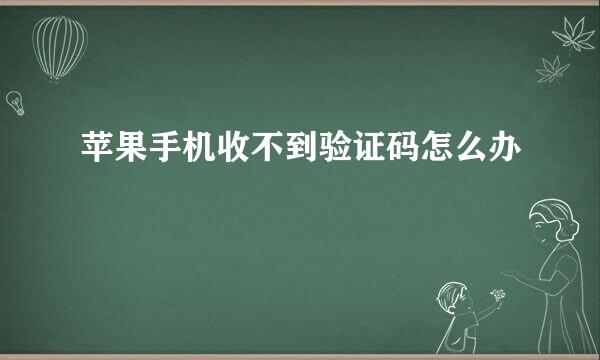 苹果手机收不到验证码怎么办