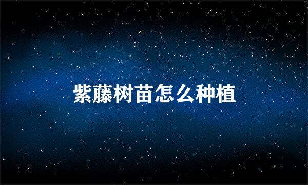 紫藤树苗怎么种植