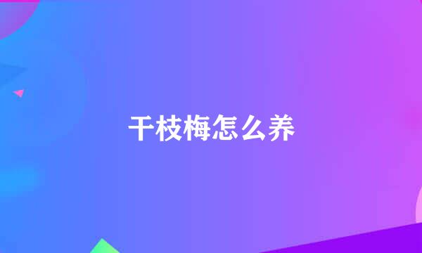 干枝梅怎么养