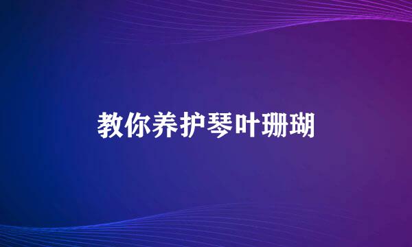 教你养护琴叶珊瑚