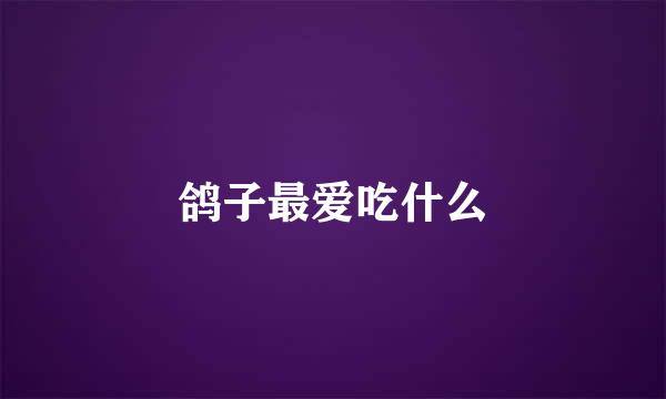 鸽子最爱吃什么