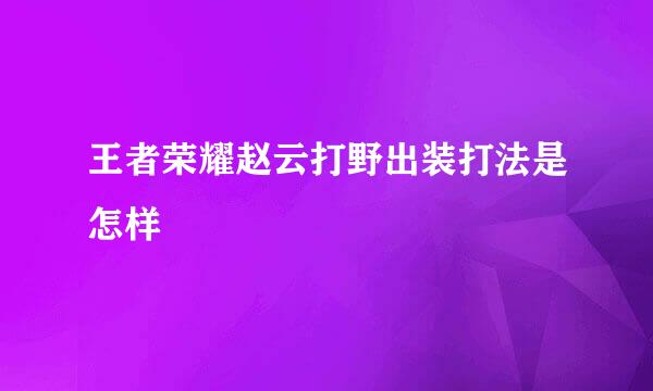 王者荣耀赵云打野出装打法是怎样