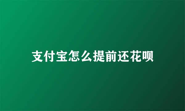 支付宝怎么提前还花呗