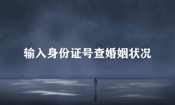 输入身份证号查婚姻状况