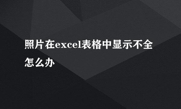 照片在excel表格中显示不全怎么办