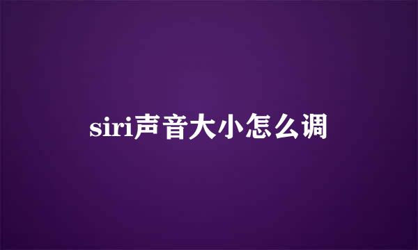 siri声音大小怎么调
