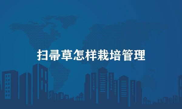扫帚草怎样栽培管理