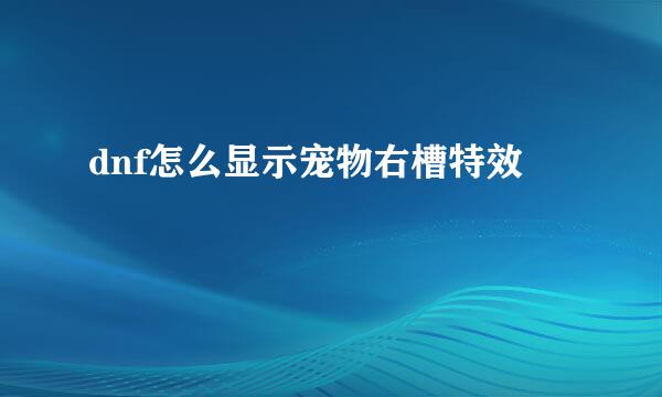 dnf怎么显示宠物右槽特效