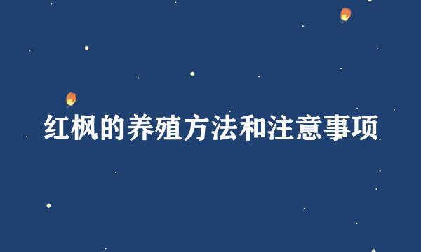 红枫的养殖方法和注意事项