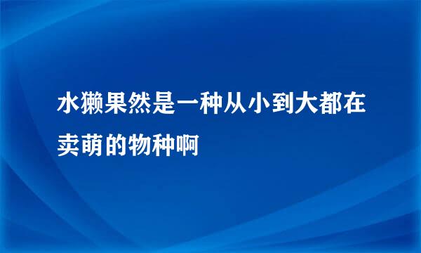 水獭果然是一种从小到大都在卖萌的物种啊
