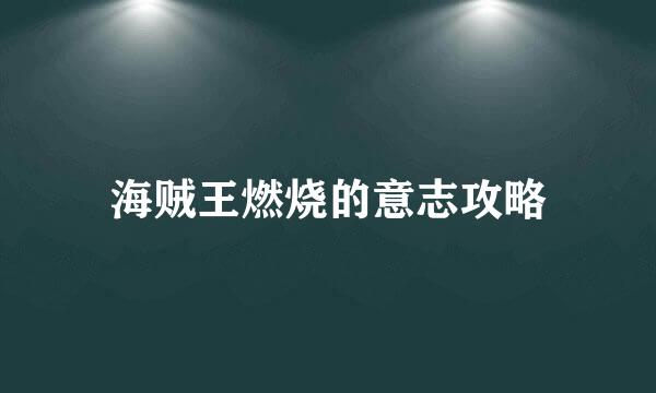 海贼王燃烧的意志攻略