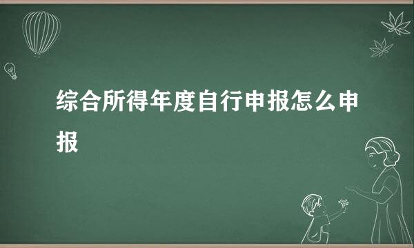 综合所得年度自行申报怎么申报