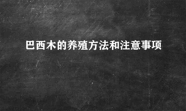 巴西木的养殖方法和注意事项