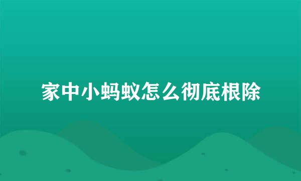 家中小蚂蚁怎么彻底根除