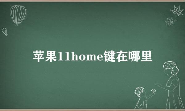 苹果11home键在哪里