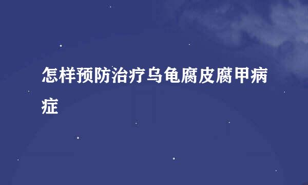 怎样预防治疗乌龟腐皮腐甲病症