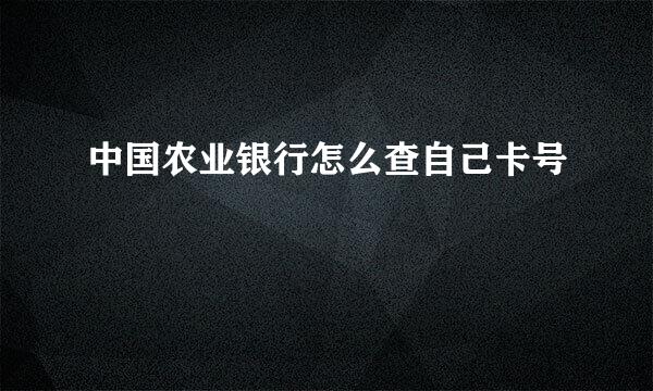 中国农业银行怎么查自己卡号