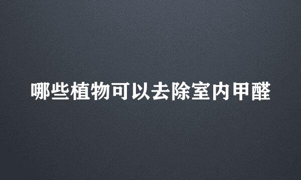 哪些植物可以去除室内甲醛