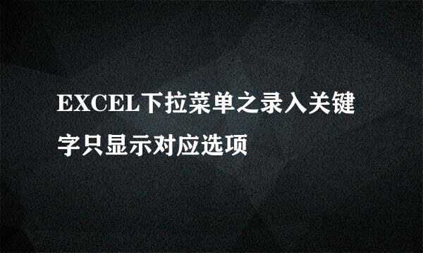 EXCEL下拉菜单之录入关键字只显示对应选项