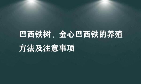 巴西铁树、金心巴西铁的养殖方法及注意事项