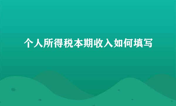个人所得税本期收入如何填写