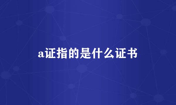 a证指的是什么证书