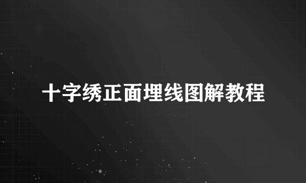 十字绣正面埋线图解教程