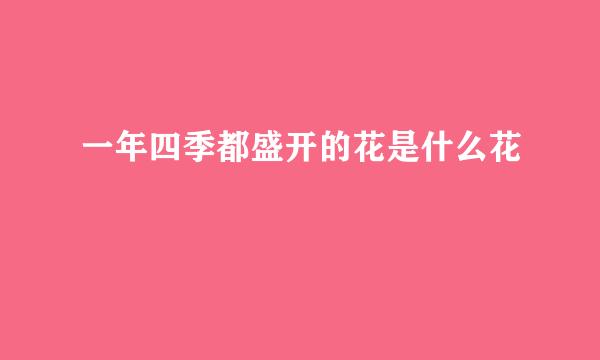 一年四季都盛开的花是什么花
