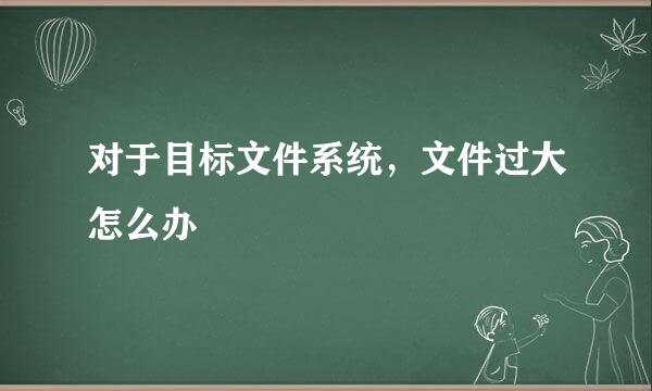 对于目标文件系统，文件过大怎么办